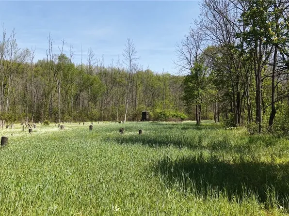 Egypt North Rd, Barnesville, OH 43713