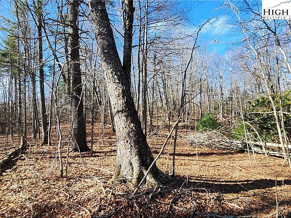 3rd image of Tbd Chinquapin Springs