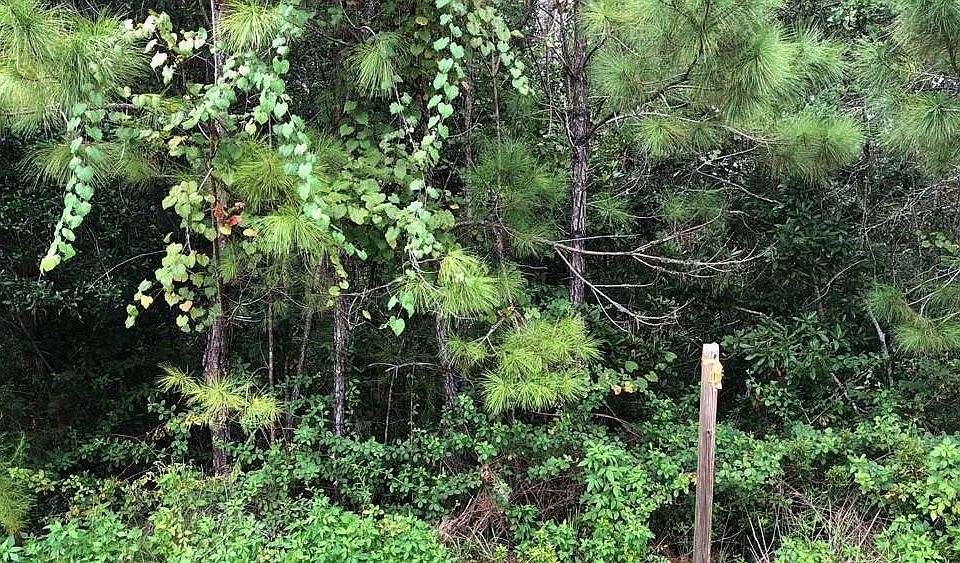 1st image of 96499 Southern Lily Dr