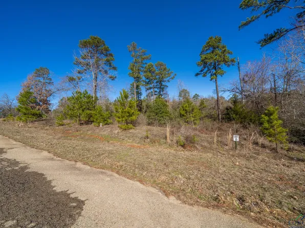 LOT 9 County Road 3545, Hawkins, TX 75765