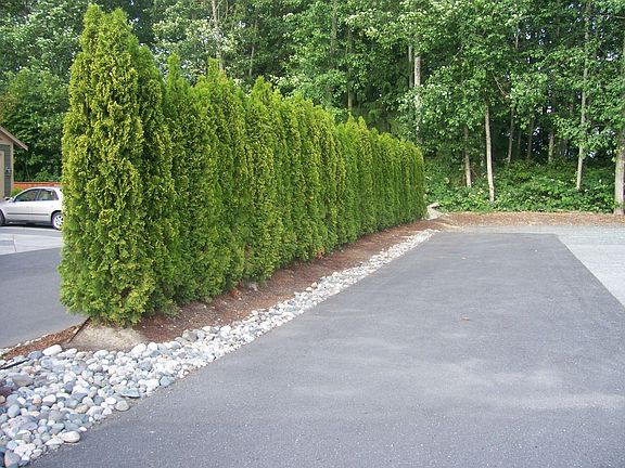 Entry drive way