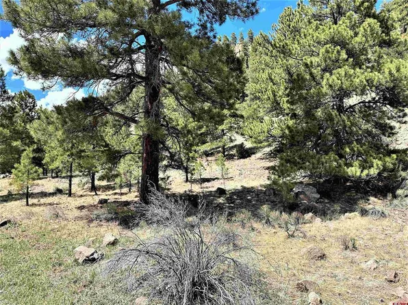 0 Highway 149, South Fork, CO 81154