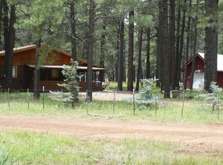 6306 Salyer Ln, Mormon Lake, AZ 86038