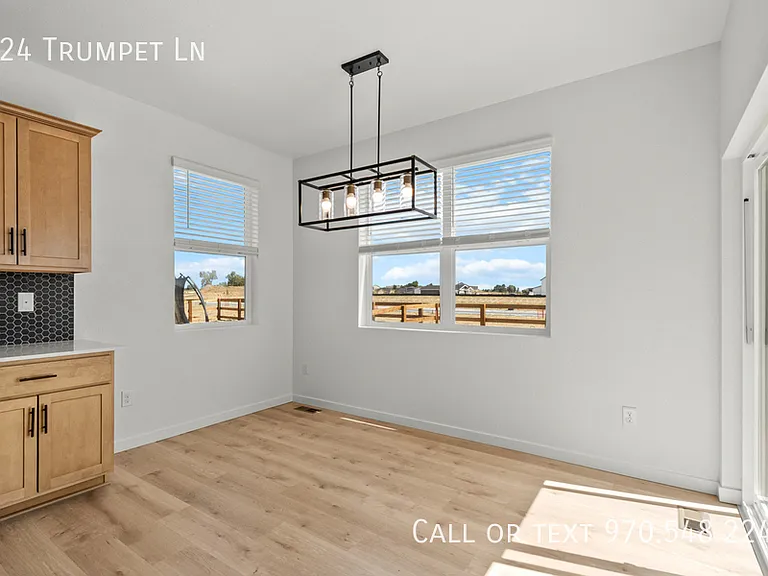 824 Trumpet Ln — Photo 15