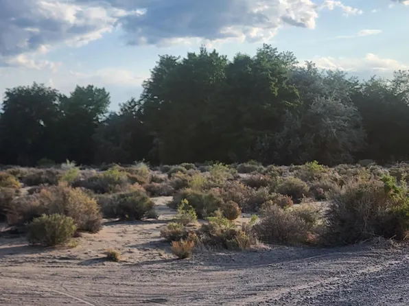 3225 E Badger St, Silver Springs, NV 89429