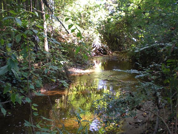 running creek at end lot 