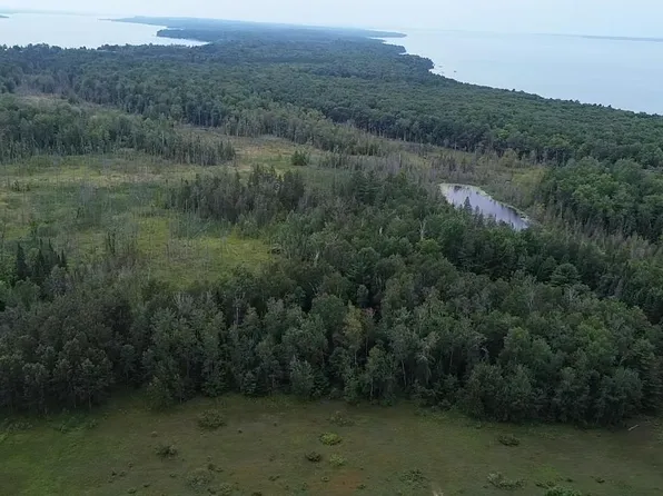 0 Lore Rd, Central Lake, MI 49622