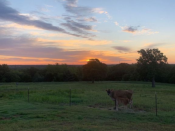 3rd image of 24600 N Peebly Rd