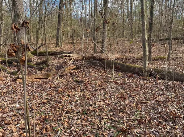 3-4 Reneau Rd, Oneonta, AL 35121