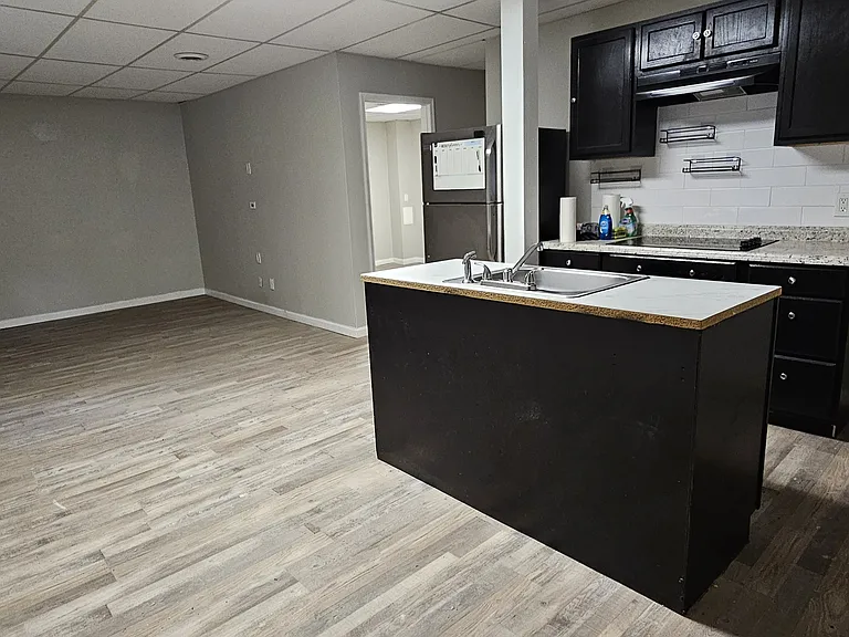 40 Chestatee Springs Rd #BASEMENT — Photo 3