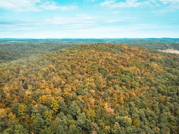 0 County Road 448 #2, Redford, MO 63665