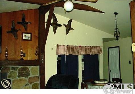Vaulted ceilings.jpg