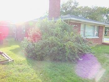 2nd image of 8843 Park Ln