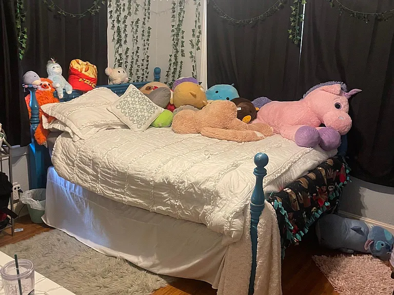 Current Renters Pictures