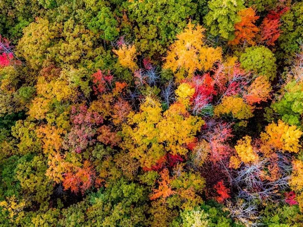 Lot# York Woods Road, South Berwick, ME 03908