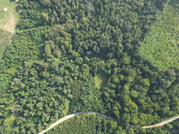 13 Saint Helena Rd, Bedford, VA 24523