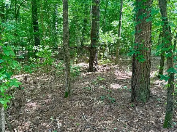 125 Pawpaw Trail, Broken Bow, OK 74728