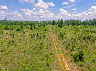 Gillison Branch Rd, Ridgeland, SC 29936