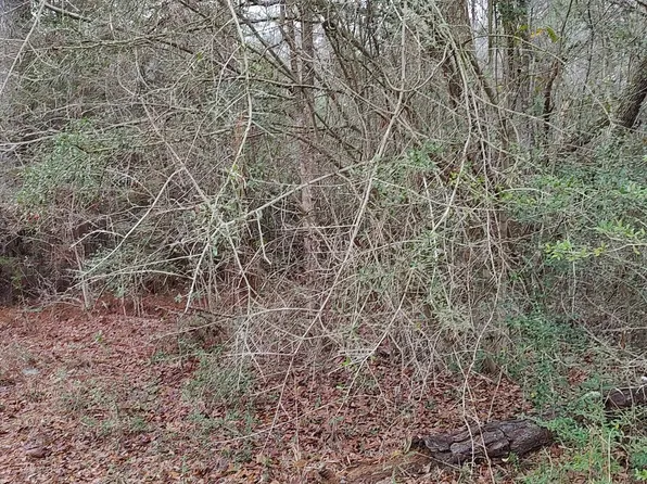 Laura St Lot 79, Lumberton, MS 39455