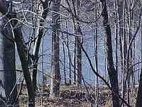 1st image of 2057 Rocky Cove Ln