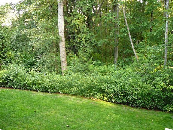 Private common area below your unit to play in