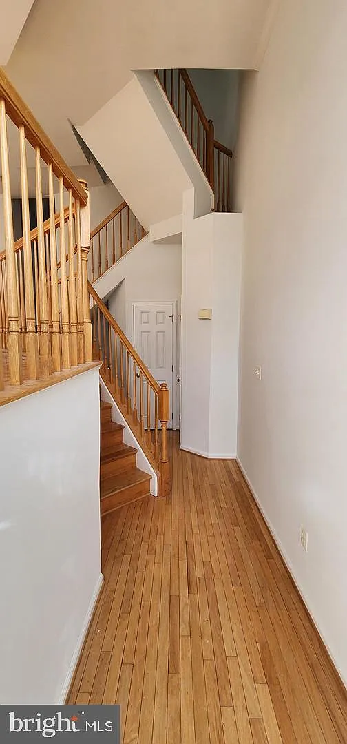 3 bed, 2.5 bath, 2420 sqft, $3,600 — Photo 1