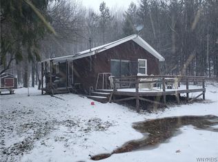 7344 Nys Rte #242, Ellicottville, NY 14731