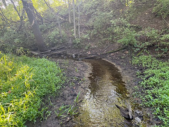 5th image of 5414 Bordman Rd