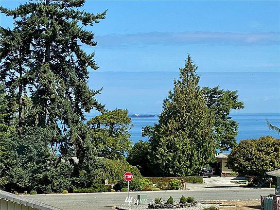 Views of the Straits of Juan De Fuca from the front porch.