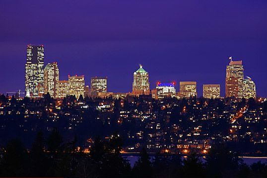 Seattle Skyline View