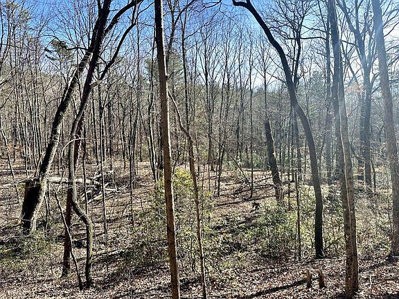 2nd image of 0 Hobbstown Rd