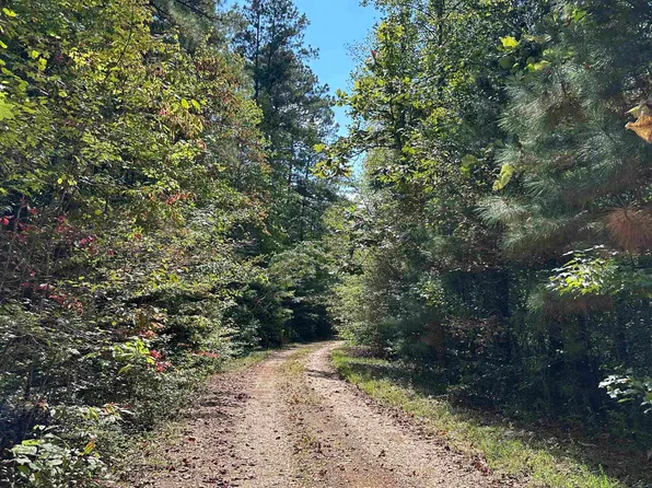 0 County Road 3034, Double Springs, AL 35553