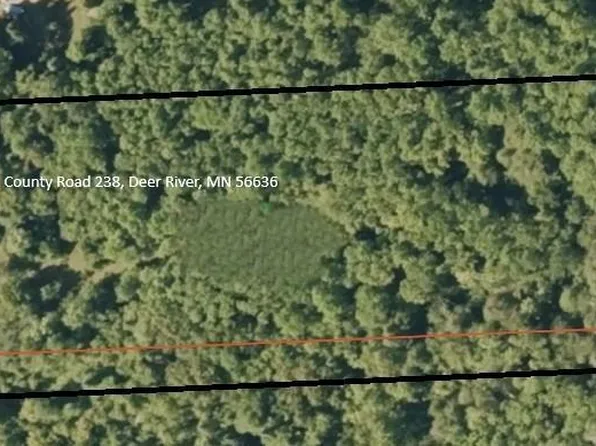 36002 County Road 238, Deer River, MN 56636