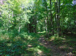 22383 Krenkel Trl, Newberry, MI 49868