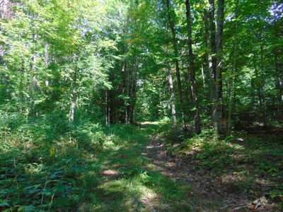 22383 Krenkel Trl, Newberry, MI, 49868