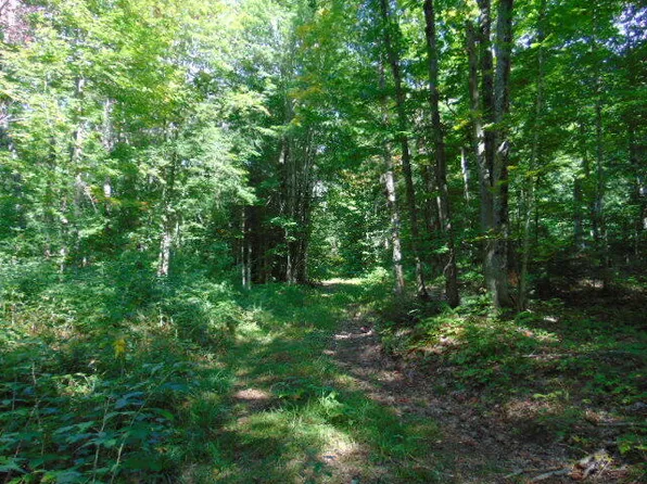 22383 Krenkel Trl, Newberry, MI 49868