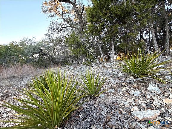 3rd image of 209 Legacy Rdg