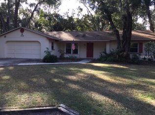 6909 Potts Rd, Riverview, FL 33569