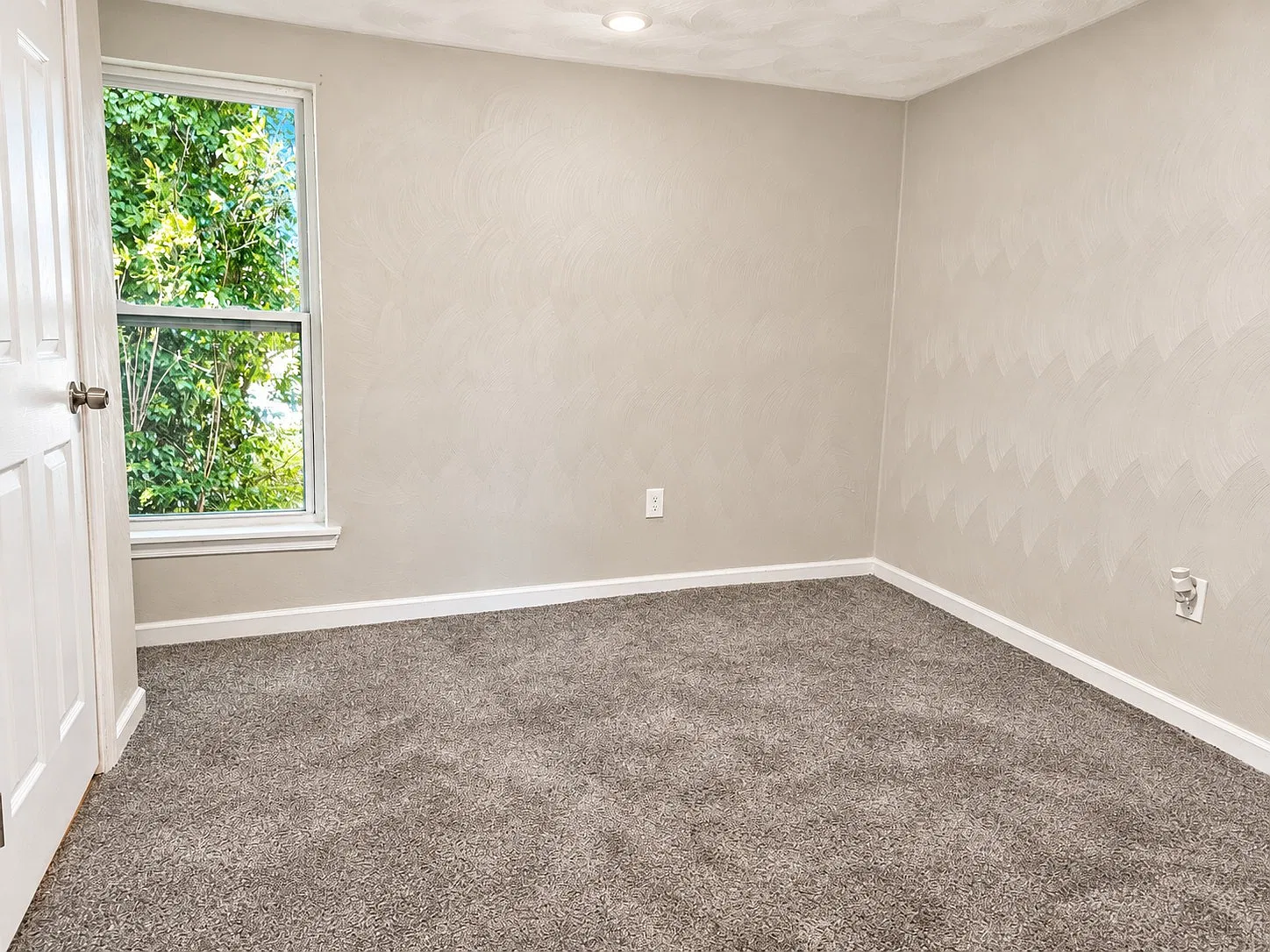 2 bed, 800 sqft, $1,500 — Photo 4