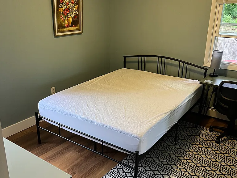 409 S Geneva St #2 — Photo 11