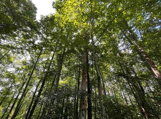 0 Kite Ln, Tiger, GA 30576