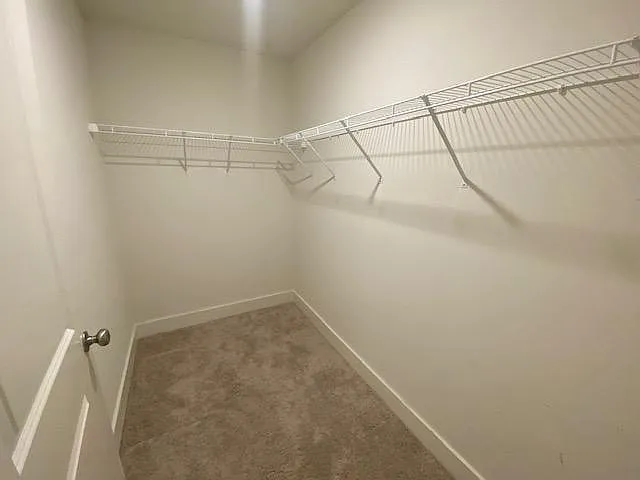 104 Auburn Gate Ln — Photo 14