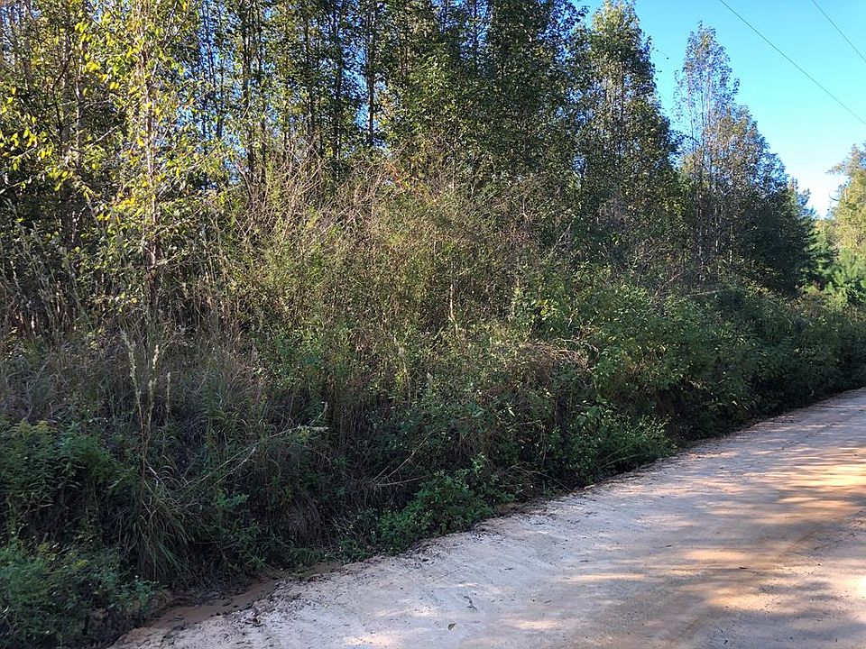 2nd image of Beatty Mill Creek Rd