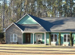 100 Easy St, Ailey, GA 30410