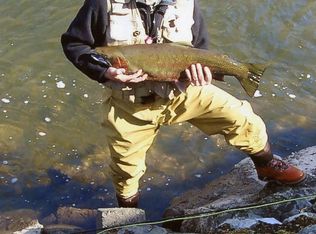 2961 Rogue River Rd NE, Belmont, MI 49306