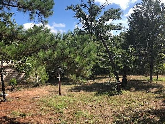 4th image of 115 Road Runner Ln