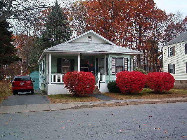 Fall View