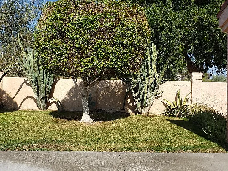 1650 Smoketree Ave S #220 — Photo 23