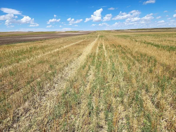 Road 7w, Bushnell, NE 69128