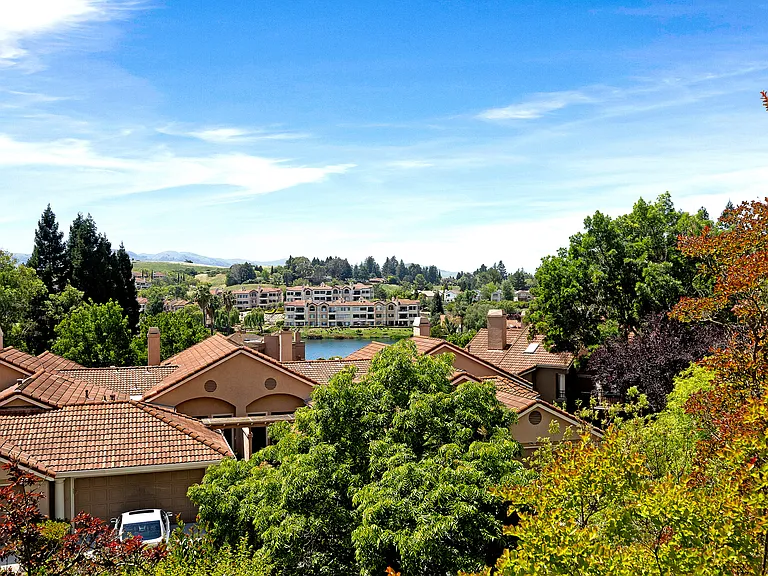 Patio View